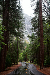 Road to Yosemite Valley