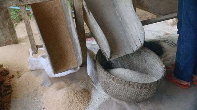 vintage wooden exit tray of old fashioned rice processor machine in use in the rural area. Close up of white rice grains fall, newly cleared of their husks, into a bamboo basket