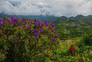 Mountains in the clouds, the villages and the hills with fields. Sabah, Borneo, Malaysia