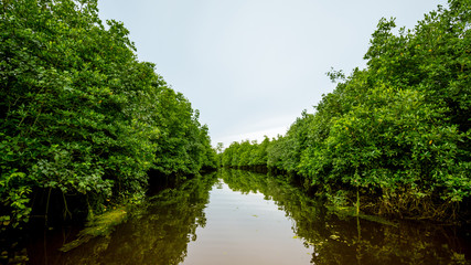 Row a boat in a river through the deep forest, adventure concept.
