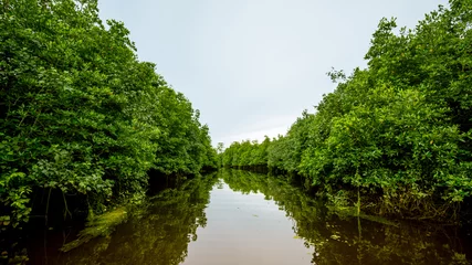 Foto auf Acrylglas Rudern Sie ein Boot in einem Fluss durch den tiefen Wald, Abenteuerkonzept. © murrrrrs