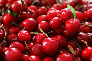 Fresh ripe cherries, close up