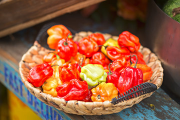 Scotch bonnet. Bonney, Caribbean peppers. Bahama Mama. Jamaican Hot. Bahamian. Martinique pepper. Vegetables in basket on street display for Chinese Food Festival, Dublin, Ireland, August, 27, 2017