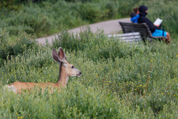 Canada_West-4145