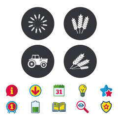 Agricultural icons. Wheat corn or Gluten free.