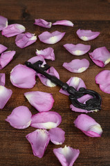closeup black key with rose petals