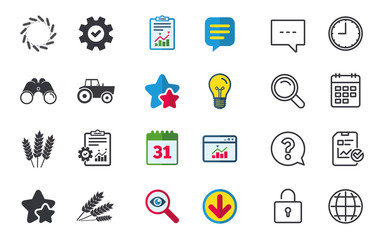 Agricultural icons. Wheat corn or Gluten free.