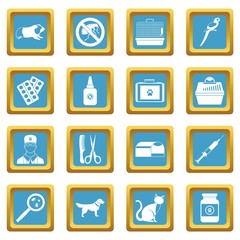 Veterinary icons azure
