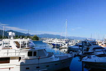 Fototapeta premium Canada_West-5082