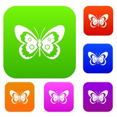 Obraz premium Butterfly set collection