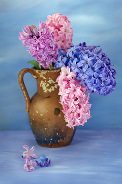 Beautiful hyacinths in a vase on a purple textural background. Beautiful bouquet . 