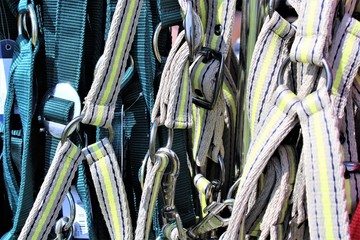 An image of a harness