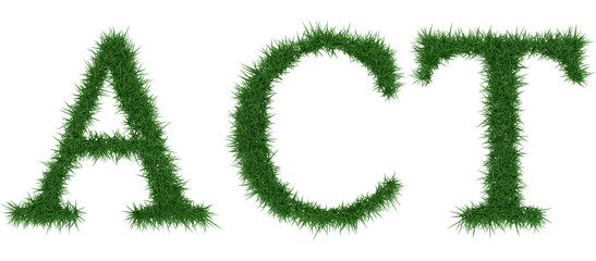 Act - 3D rendering fresh Grass letters isolated on whhite background.