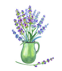 A bunch of lavender in a jug, watercolor drawing on a white background, isolated.