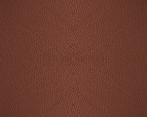 Fototapeta premium Leather texture