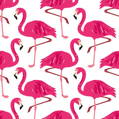 Vector seamless pattern with flamingos