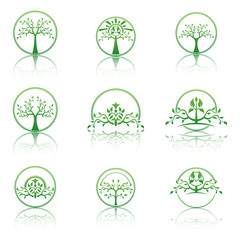 Set of abstract  trees. Eco lifestyle concept illustration.