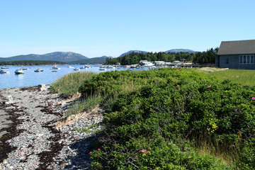 Islesford Harbor, Maine