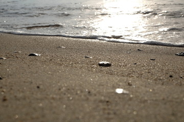 Fototapeta na wymiar Sandy beach of the sea at sunset.