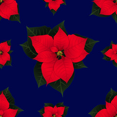 Red Poinsettia on Navy Blue Background. Vector Illustration