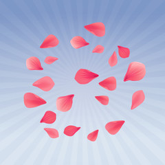 Petals Roses Flowers. Red Sakura flying petals isolated on light Blue Purple rays background. Vector