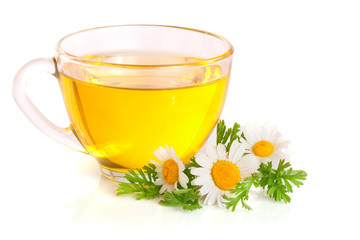 Herbal tea with fresh chamomile flowers isolated on white background