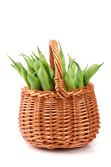 Green beans in a wicker basket isolated on a white background