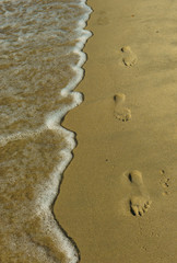Footprints on a sandy beach