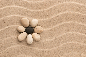 Fototapeta na wymiar Conceptual flower made of stones lying on the dunes.