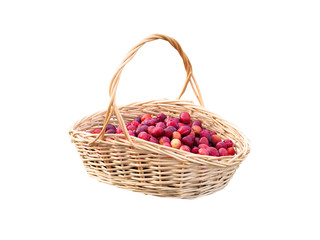 Fototapeta na wymiar Wicker basket with collected ripe fresh organic plums isolated on a white background. Autumn still life with plums