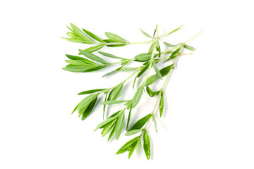 Sprig of fresh thyme isolated on a white background