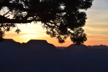Grand Canyon Silhouette 