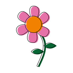 beautiful flower icon over white background vector illustration