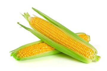 ear of corn isolated on a white background