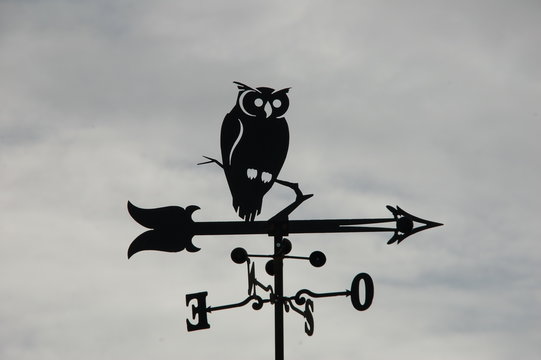 animales, buo, viento, hierro, cielo, paisaje, flecha, veleta