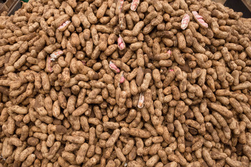 India Raw Peanuts