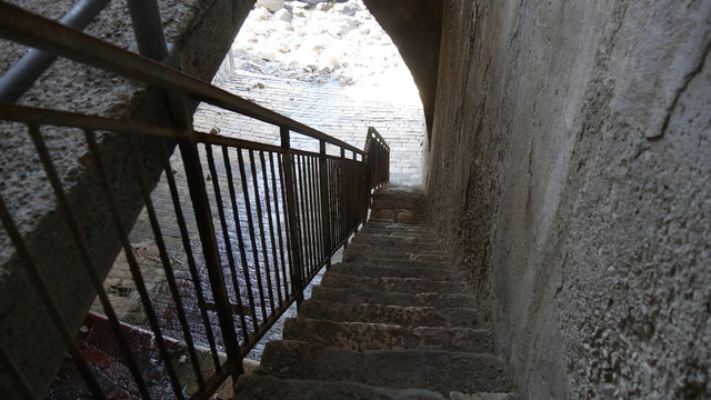 Fogna