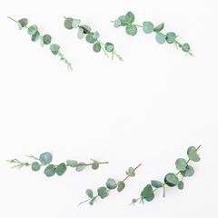 Floral frame with eucalyptus leaves and branches on white background. Flat lay, top view. 