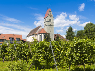 Catholic Church St. Johann Baptist in Hagnau at Lake Constance with vitaceous in the foreground - Hagnau, Lake Constance, Baden-Wuerttemberg, Germany, Europe