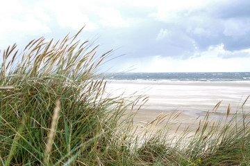Unscharfes D&uuml;nengras im Vordergrund und Meeresstrand im Hintergrund