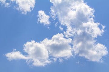 In the blue sky slowly floating white, feather clouds