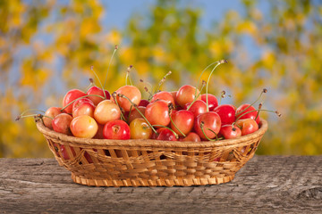 Yellow cherry in a wicker basket on a wooden table with a blurry garden background