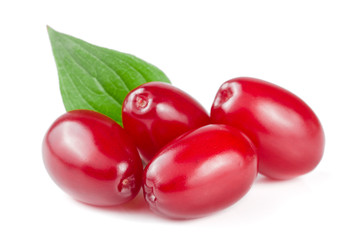 dogwood berry with leaf isolated on white background