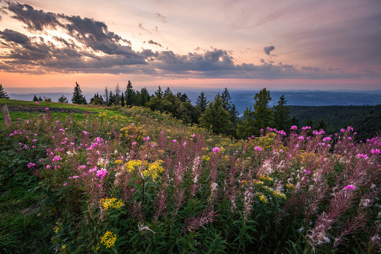 Sonnenuntergang auf dem Kandel, Schwarzwald