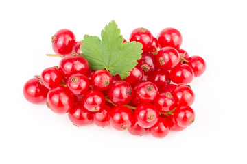Red currant berries with leaf isolated on white background