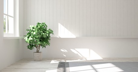 Inspiration of white empty room with green flower. Scandinavian interior design. 3D illustration