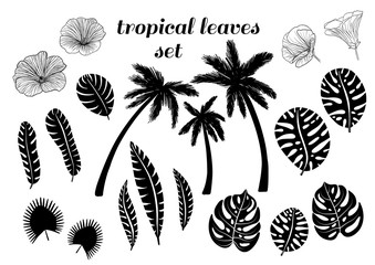 Fototapeta na wymiar Tropical palm trees, leaves flowers silhouettes set. Vector
