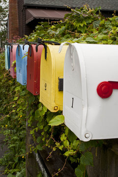 White, yellow, red and blue mailboxes in hedge