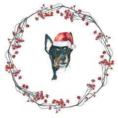 
Christmas wreath.  Decorating with a dog. The symbol of the new year. - 169306212