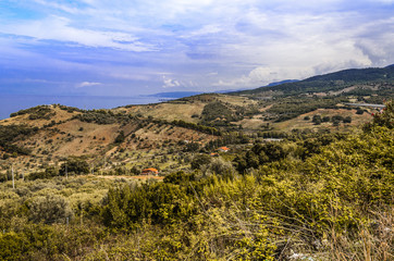 Fototapeta na wymiar Fields of cultivation on the Sicilian coast